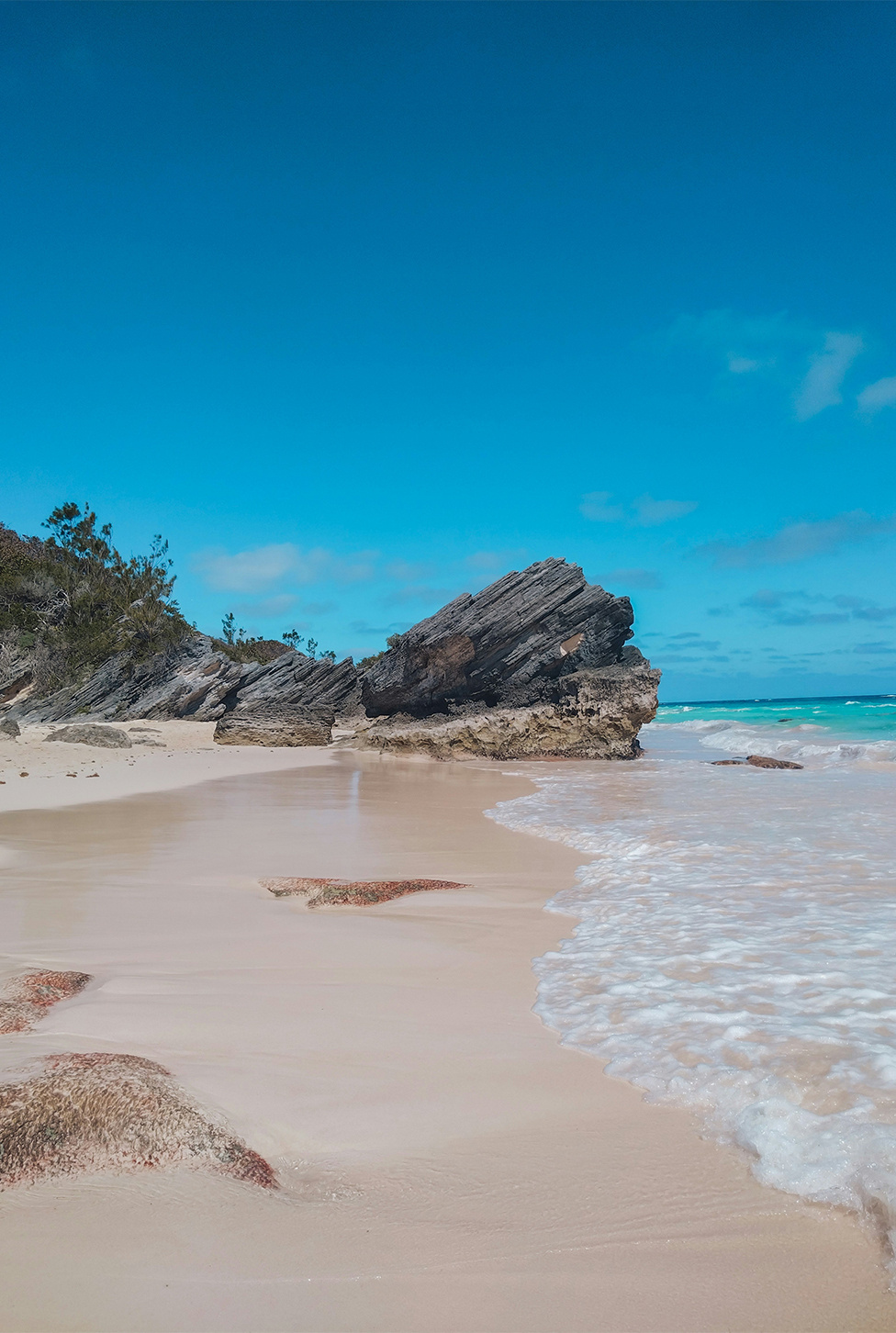 Bermuda